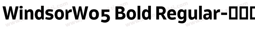 WindsorW05 Bold Regular字体转换